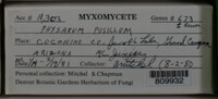 Image Associated With the Occurence